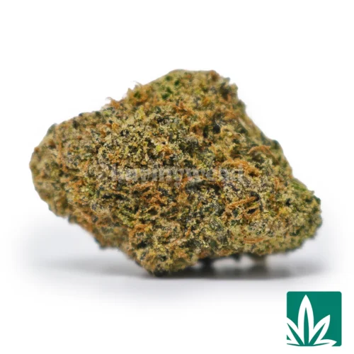 Cherry Sherbet
