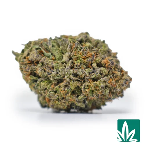 Gelato Bookies Strain 