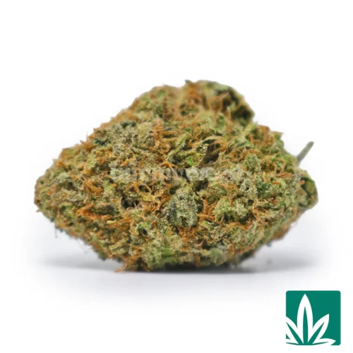 Jungle Gelato Strain