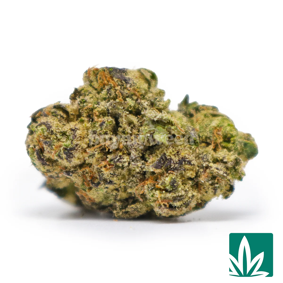Lemon Cherry Gelato