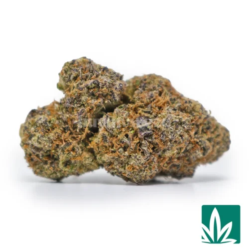 Miracle Cherries Strain
