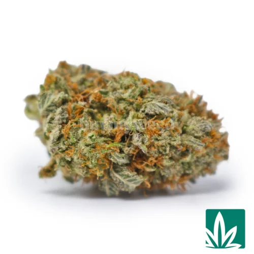 Platinum Gushers Strain