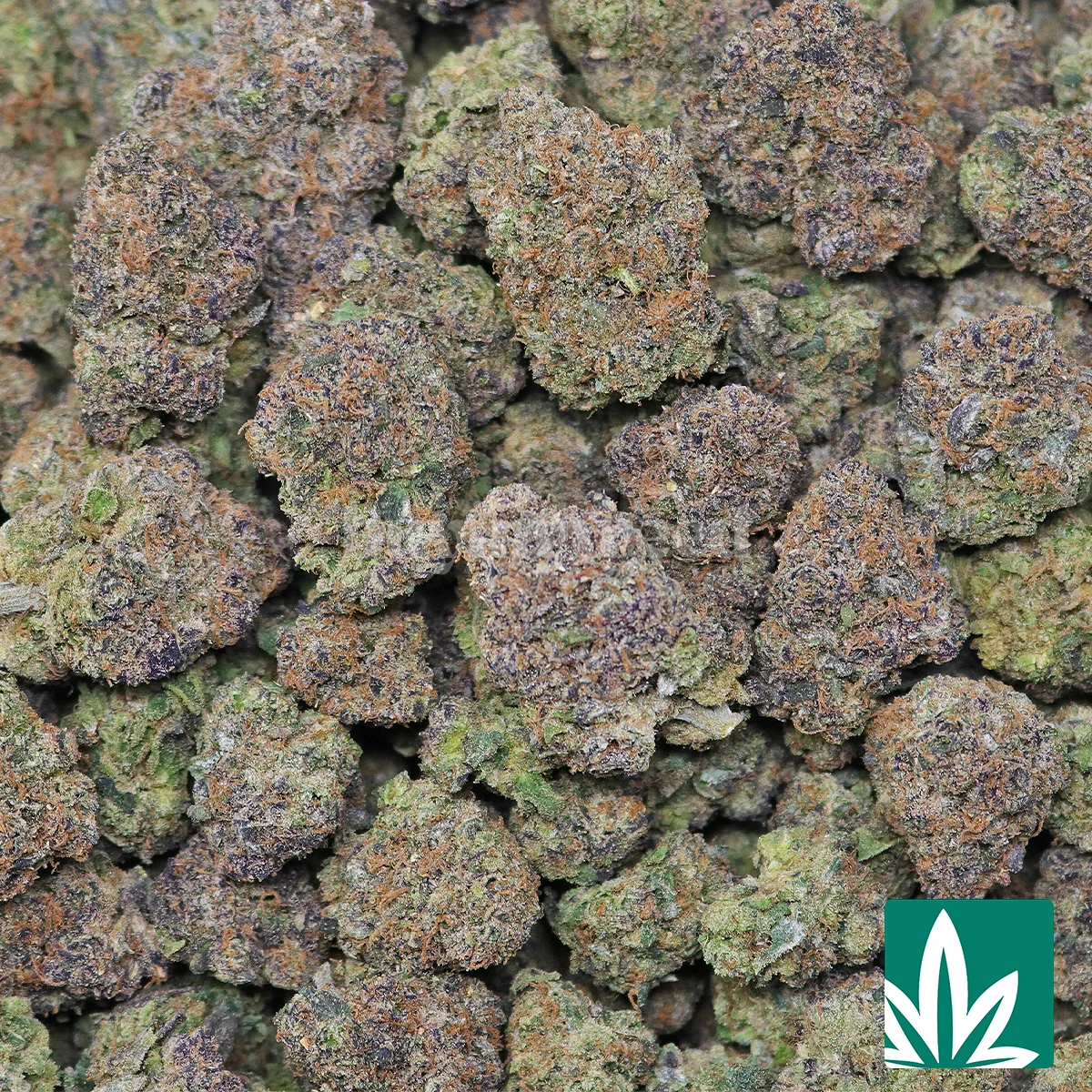 Purple Great Butane - Image 2