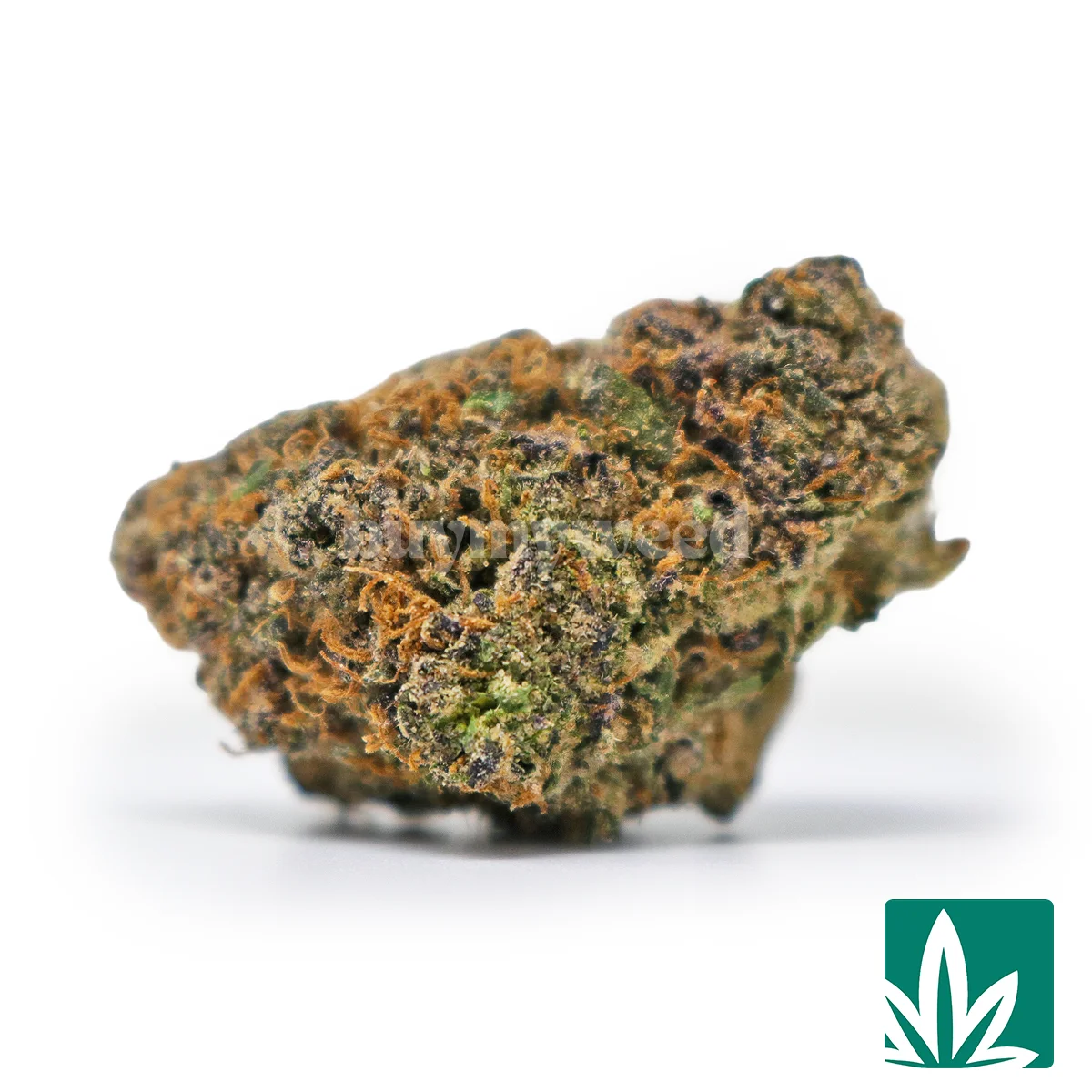 Purple Great Butane