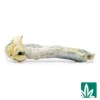 Albino Penis Envy - 1