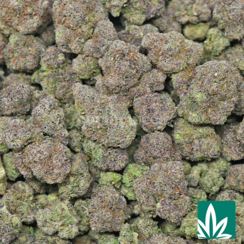 Black Trufflelatto-2