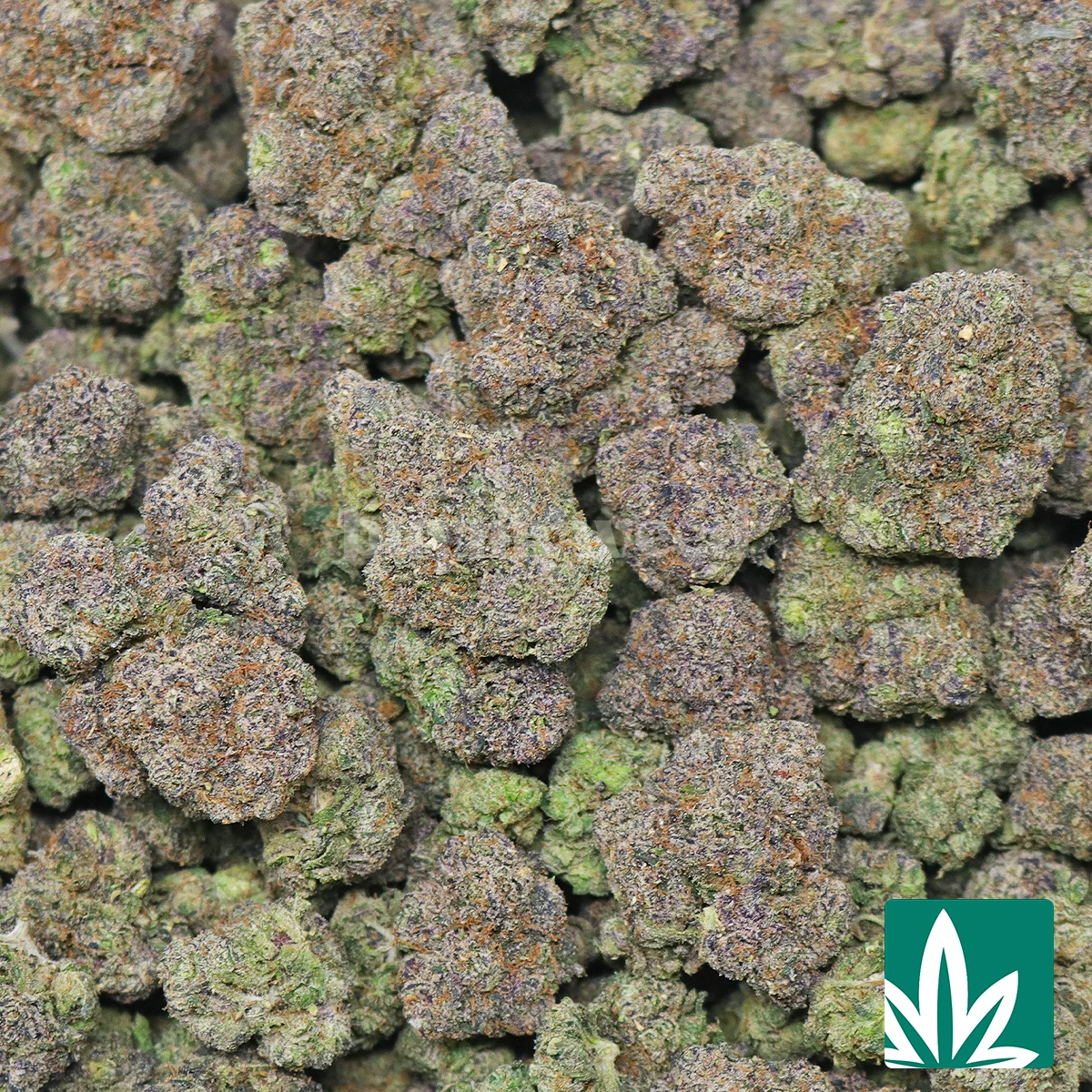 Black Trufflelatto-2