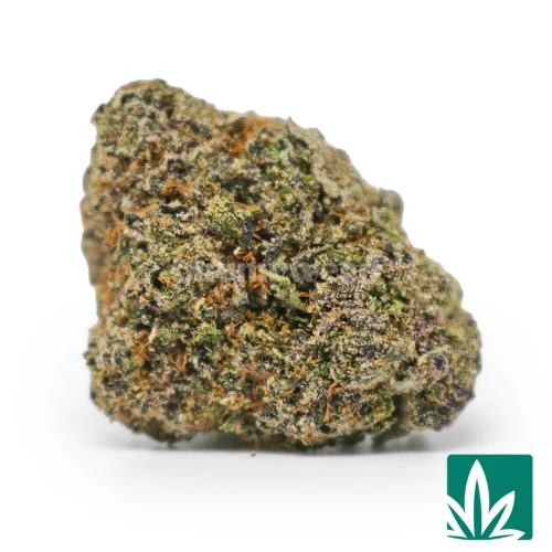 Black Trufflelatto-1