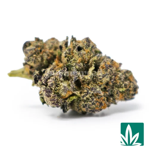 Alternative view of Build Your Own TopShelf QP
