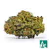 Gelato Crasher-1