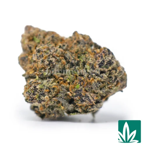 Pink Gasoline-1