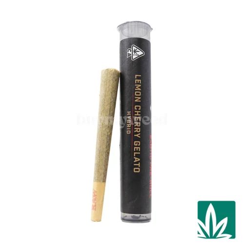 Big Tiger Pre-Roll (1g) - Lemon Cherry Gelato