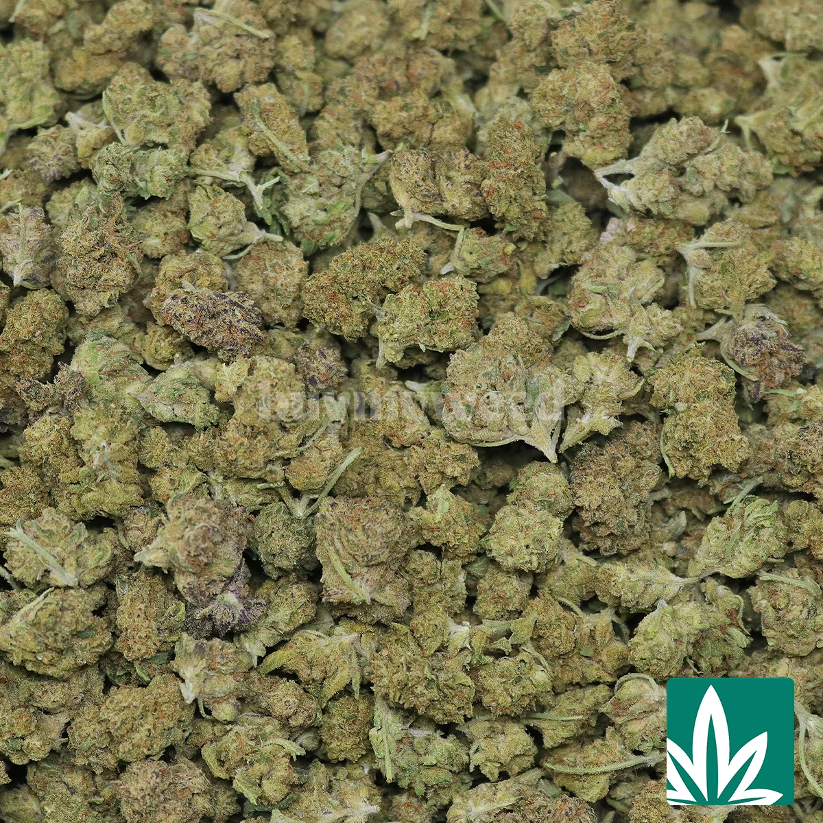 Carbon Fiber 'Smalls' - Image 2