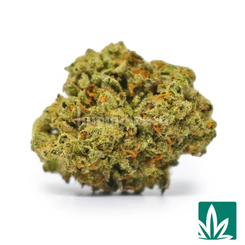 Chemdawg Strain - 1