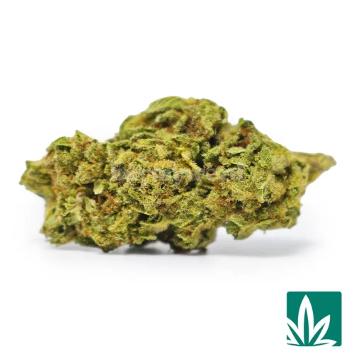 Cherry Diesel Strain - 1