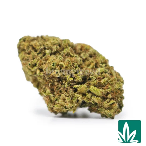 Cream Brulee Strain - 1