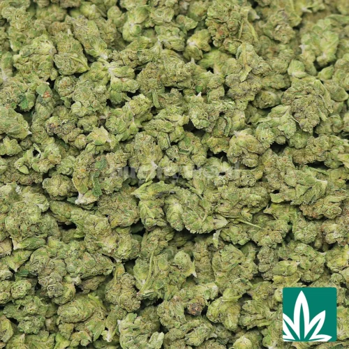 Gary Payton Smalls Strain - 2