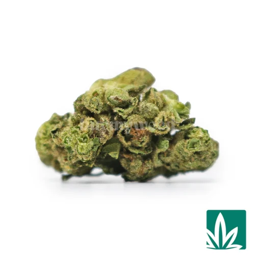 Gary Payton Smalls Strain - 1