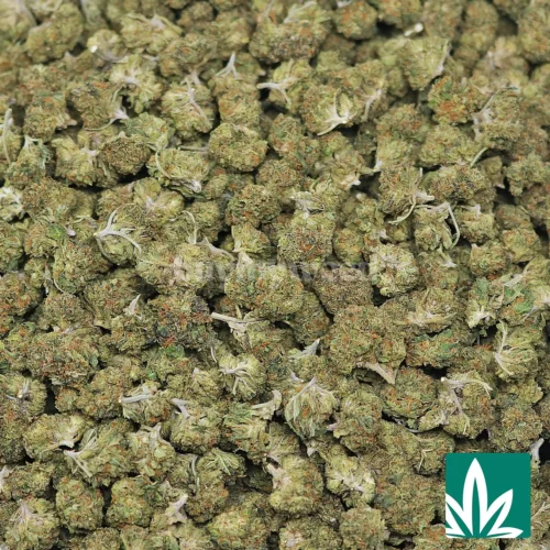 Gelato Smalls Strain - 2