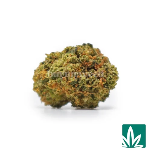 Gelato Smalls Strain - 1