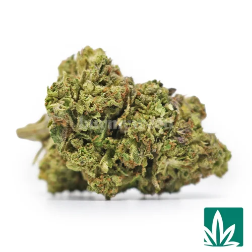 OG Kush Strain - 1