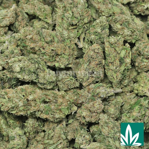 Pineapple Express Strain - 2