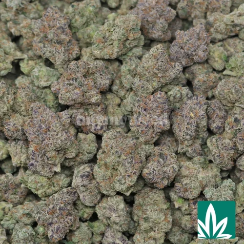 Bubblegum Gelato Strain - 2