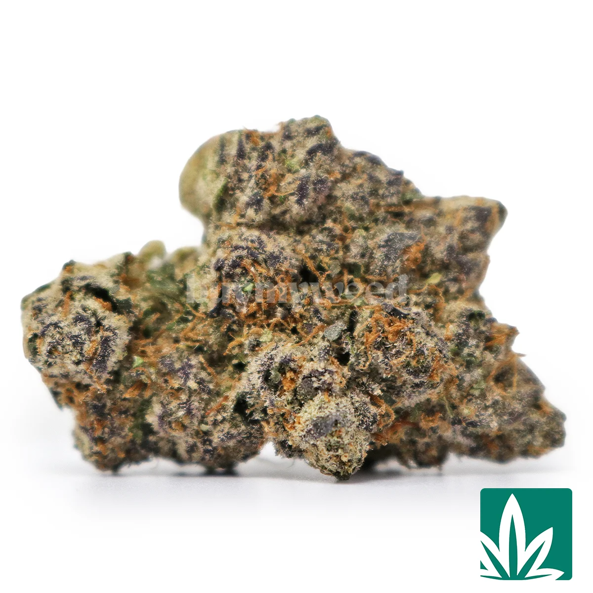Bubblegum Gelato Strain - 1
