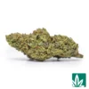 Cherry Wave Strain - 1