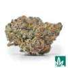 Exotic LCG Strain - 1