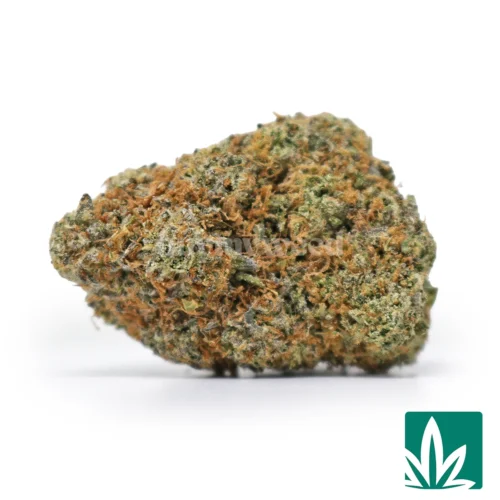 Gelato Gusher Strain -1
