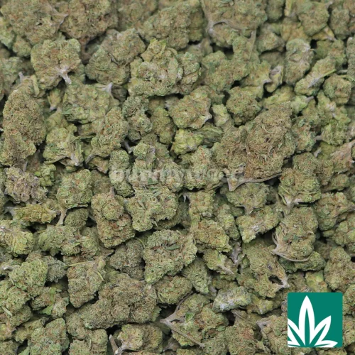 GOA Smalls Strain - 2