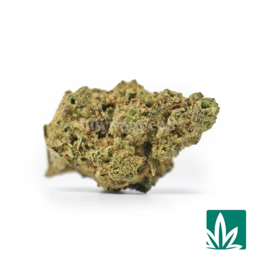 GOA Smalls Strain - 1