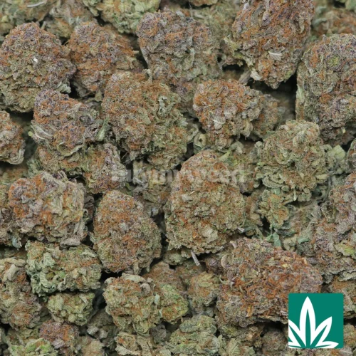 Grand Daddy Purple Strain - 2