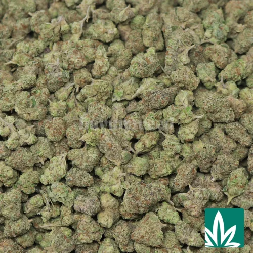 Icy Pop 'Smalls' Strain