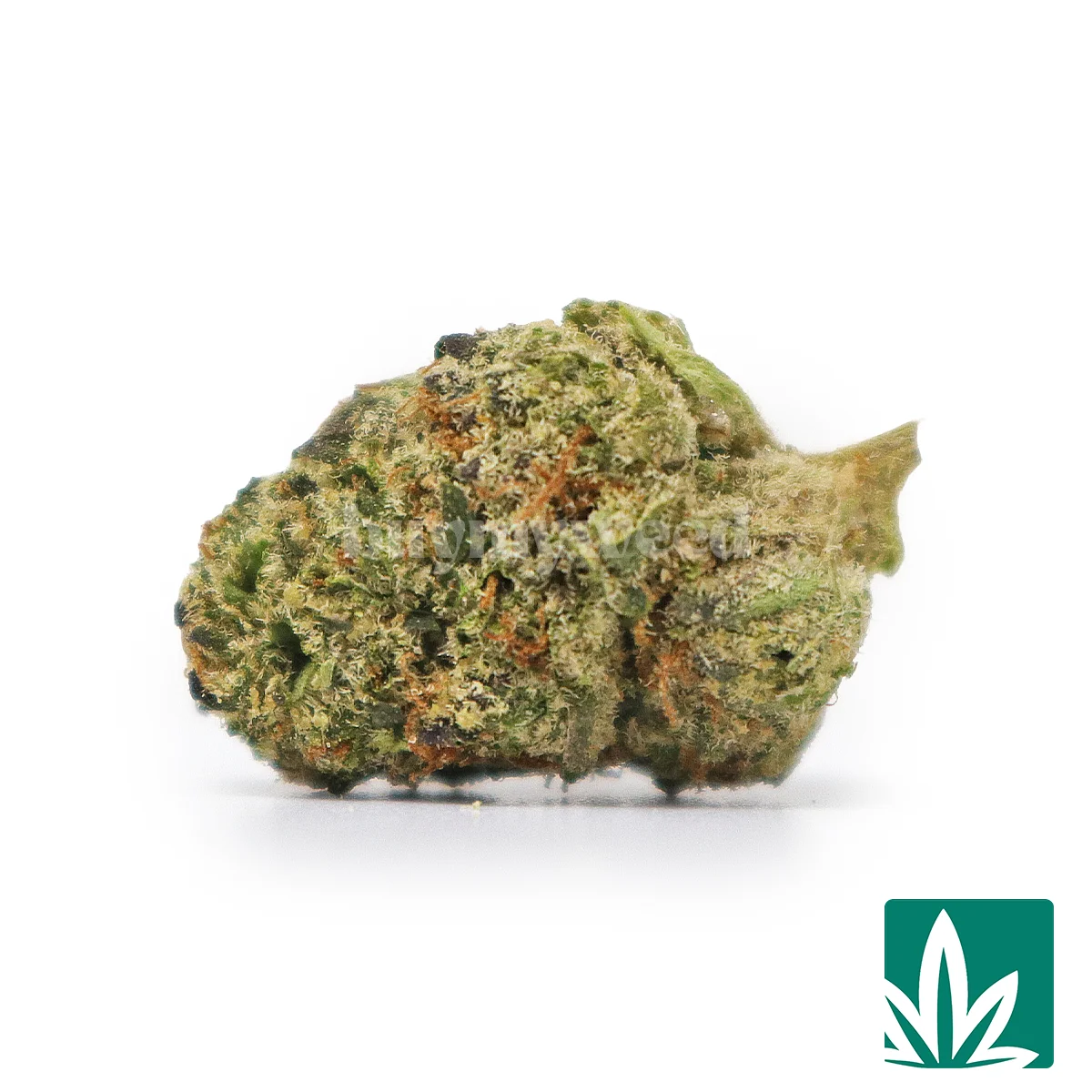 Icy Pop 'Smalls' Strain