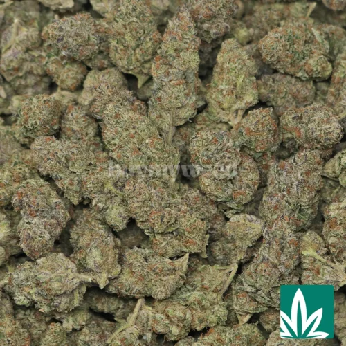 Icy Pop - 'Tops' - 2