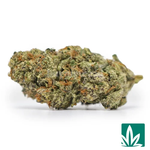 Icy Pop - 'Tops' - 1