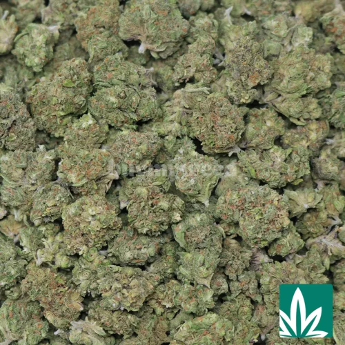 Jelly Donut Strain - 2