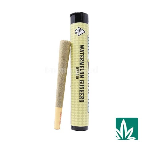 Mad Rippers Pre-Roll (1g) - Watermelon Gushers