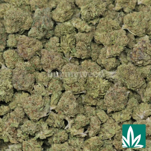 Pink Ribbon Strains -2