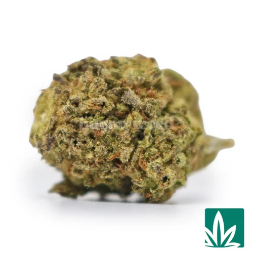 Pink Ribbon Strains -1