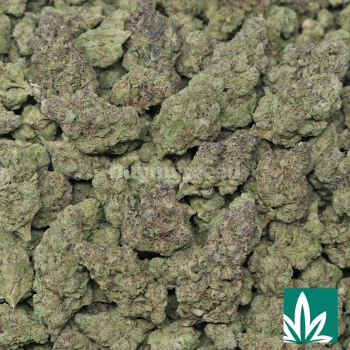 Pound Cake Strain -2