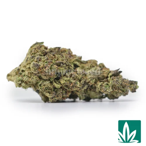 Pound Cake Strain -1