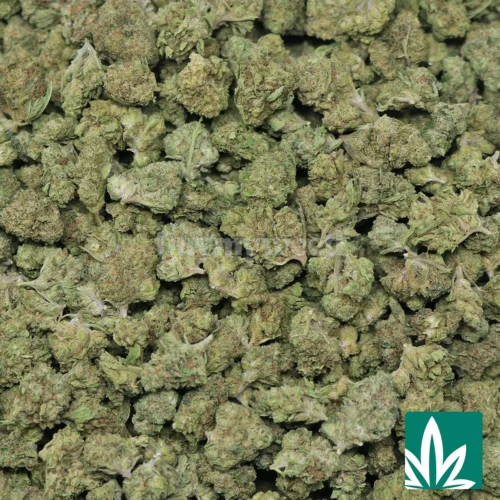 Purple Kush Smalls Strain - 2