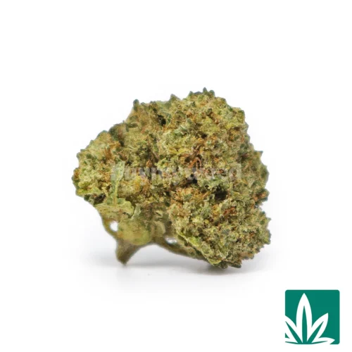 Purple Kush Smalls Strain - 1