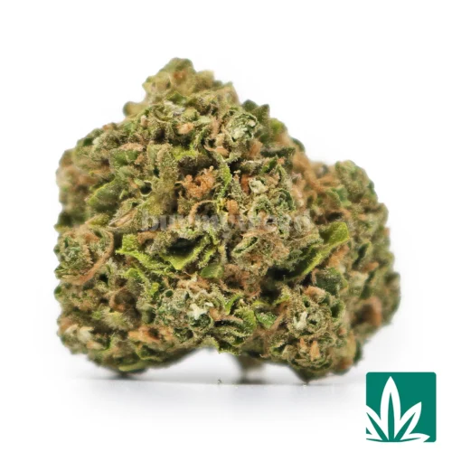 Sour Bubbles Strain - 1