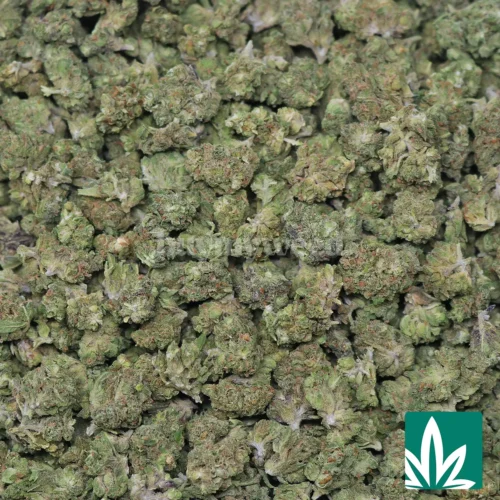 Sour Bubbles Smalls Strain - 2