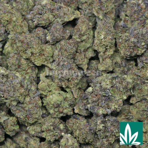 Zkittle Mintz - 2