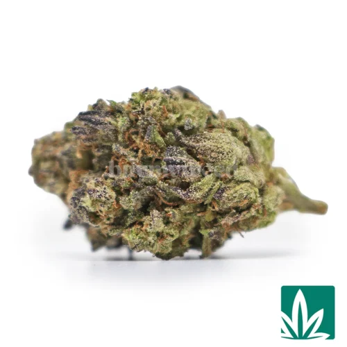 Zkittle Mintz - 1